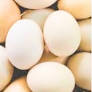 How many eggs should you eat in a day during summer