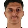 Faisal Al-Ghamdi - Stats