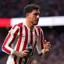 Jose Maria Gimenez carries stricken pigeon to safety during Atlético v Real Sociedad