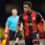 Bournemouth transfer news: Luis Sinisterra joins Cruzeiro on loan