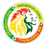 Pape Gueye Strike Gives Senegal AFCON Victory In Controversial Final