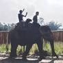 Cooch Behar: 1 killed in wild boar attack; rhino sighting sparks alert