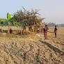 BGB halts BSF attempt to build road along border