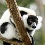 Rights of nature concept creates room for life, but it’s still ‘fuzzy’: Study