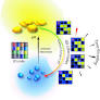 Time-Encoded Information Encryption with pH Clock Guided Broad-Spectrum Emission by Dynamic Assemblies