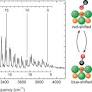 Observation of an isomerizing double-well quantum system in the condensed phase