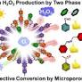 Solar Light Driven H2O2 Production and Selective Oxidations Using a Covalent Organic Framework Photocatalyst Prepared by a Multicomponent Reaction