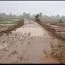 Polpol villagers in Chatra cry for paved road, threaten stir