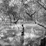 Book Review: ‘Marginlands’ by Arati Kumar-Rao tells the story of Bengal’s tiger widows and failed government schemes
