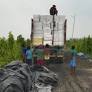 Bengal Special Task Force arrest Md Nazrul Islam, kingpin of illegal fireworks supply chain