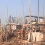 Bangladesh investigators probe cause of fire that left 12,000 Rohingya homeless