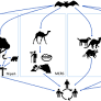 Major bat-borne zoonotic viral epidemics in Asia and Africa: A systematic review and meta-analysis
