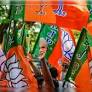 BJP Releases List of 111 Candidates For West Bengal Elections, Roopa Ganguly, Tapas Roy Among Key Candidates