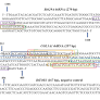 Effect of silencing Thrips palmi Btk29A and COL3A1 on fitness and virus acquisition