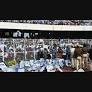 West Bengal sports minister resigns after chaotic Lionel Messi event; fan outrage leads to major probe
