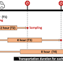 Evaluating the impact of pre-slaughter transport stress on broiler welfare and meat quality in India