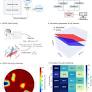 Linear predictive coding electroencephalography algorithms predict Parkinson’s disease mortality using out-of-sample tests