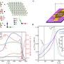 Spin-reorientation driven emergent phases and unconventional magnetotransport in quasi-2D vdW ferromagnet Fe