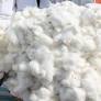 India Cotton Output Revised Higher Amid Rising Consumption Trends by Amit Gupta, Kedia Advisory