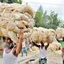 Bengal: Jute Industry Crisis and Relevance of July 9 Countrywide Strike Call by TUs