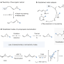 Dynamic stereomutation of vinylcyclopropanes with metalloradicals