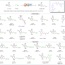 Hydrogen bonding template enables remote meta -C–H alkenylation of nitroarenes with electron-deficient alkenes