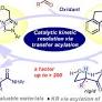 Hydrogen‐Bonding Assisted Catalytic Kinetic Resolution of Acyclic β‐Hydroxy Amides