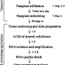 An Efficient LCM-Based Method for Tissue Specific Expression Analysis of Genes and miRNAs