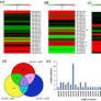 Expression dynamics of miRNAs and their targets in seed germination conditions reveals miRNA-ta-siRNA crosstalk as regulator of seed germination