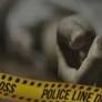 Man with links with BJP found dead in South 24-Parganas