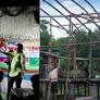 TMC leader’s Bhojpuri dance at blood camp sparks row: Opposition slams song performance at charity event, q...