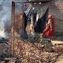 TMC panchayat leader shot dead in West Bengal; 1 assailant lynched, houses set ablaze