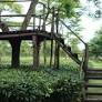 Diary of a Tea Tourist: On Assam’s Majestic Tea Estates, Bungalows & Bonfires