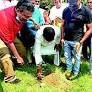 Sindhi community vows to plant 10 million trees