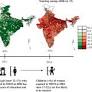 Intergenerational nutrition benefits of India’s national school feeding program