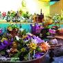 Quiet Buddha Purnima in Assam