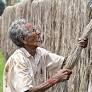 Trinamool MP Ritabrata flags ‘serious crisis’ in West Bengal’s jute industry; seeks Centre’s intervention