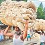 Policy gaps pushed raw jute sector into crisis: TMC MP