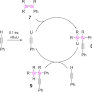 Reactivity of Phenylacetylene toward Unsymmetrical Disilenes: Regiodivergent [2+2] Cycloaddition vs. CH Addition