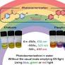 Visible‐light‐switchable Chalcone‐Flavylium Photochromic Systems in Aqueous Media