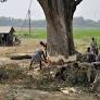 Industry pushes for reinstatement of amnesty for environmental violations