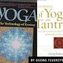 Georg Feuerstein is the Yogi that India forgot