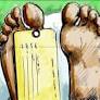BLO dies; kin blame SIR workload