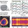 Fluorescence Blinking Beyond Nanoconfinement: Spatially Synchronous Intermittency of Entire Perovskite Microcrystals
