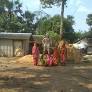 Jhargram: Which Way Will Tribal, Kurmi Votes Go?