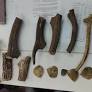 Sambar Antlers, Pangolin Scales Seized In West Bengal's Asansol, Jharkhand Duo Held