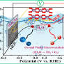 Strategically Designed Pd-Induced Changes in Alkaline Hydrogen Evolution Reaction and Oxygen Evolution Reaction Performances of Electrochemical Water Oxidation by the Galvanically Synthesized MoO2/MoO3 Composite Thin Film