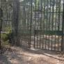 Hindu nationalists go to court over lion named after Muslim emperor in India