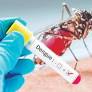 Minor dies of dengue in Bijoygarh, locals blame KMC for not cleaning area