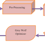 Diagnosis and classification of neuromuscular disorders using Bi-LSTM optimized with grey Wolf optimizer for EMG signals